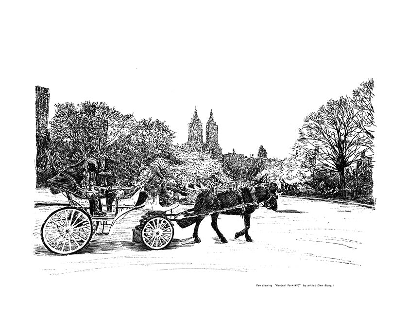 Pendrawing Carriage in Central Park NYC