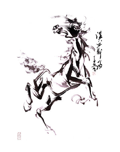 Ferghana Horse