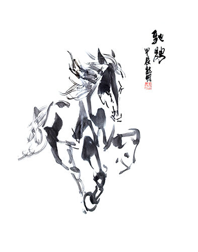 Gallop