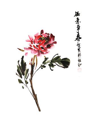 No intention to vie for spring