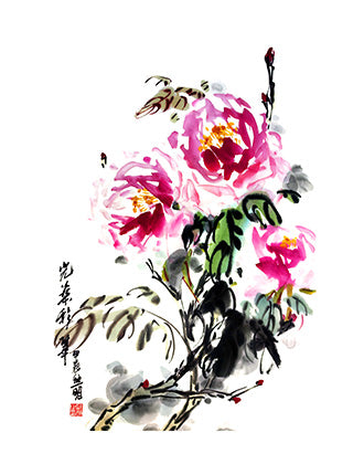 Posture of Radiance Colorful Dance