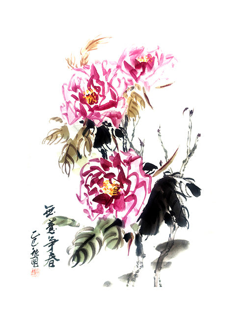 No intention to vie for spring