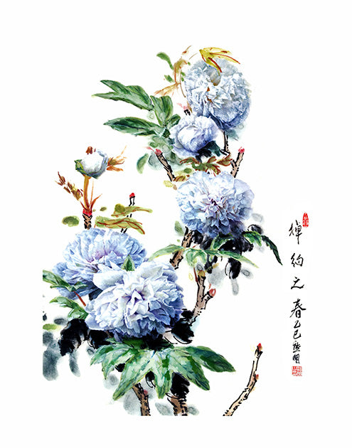 Graceful and Elegant Spring