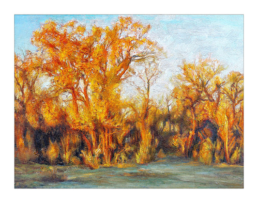 Populus euphratica forest
