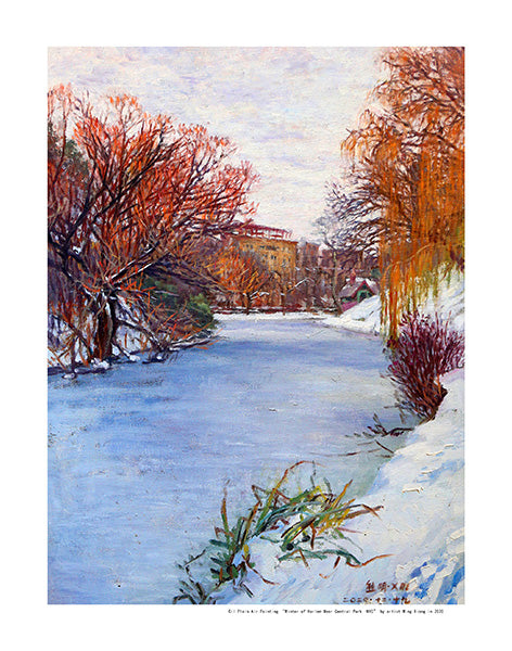 WinterW Of Harlem Meer Central Park NYC